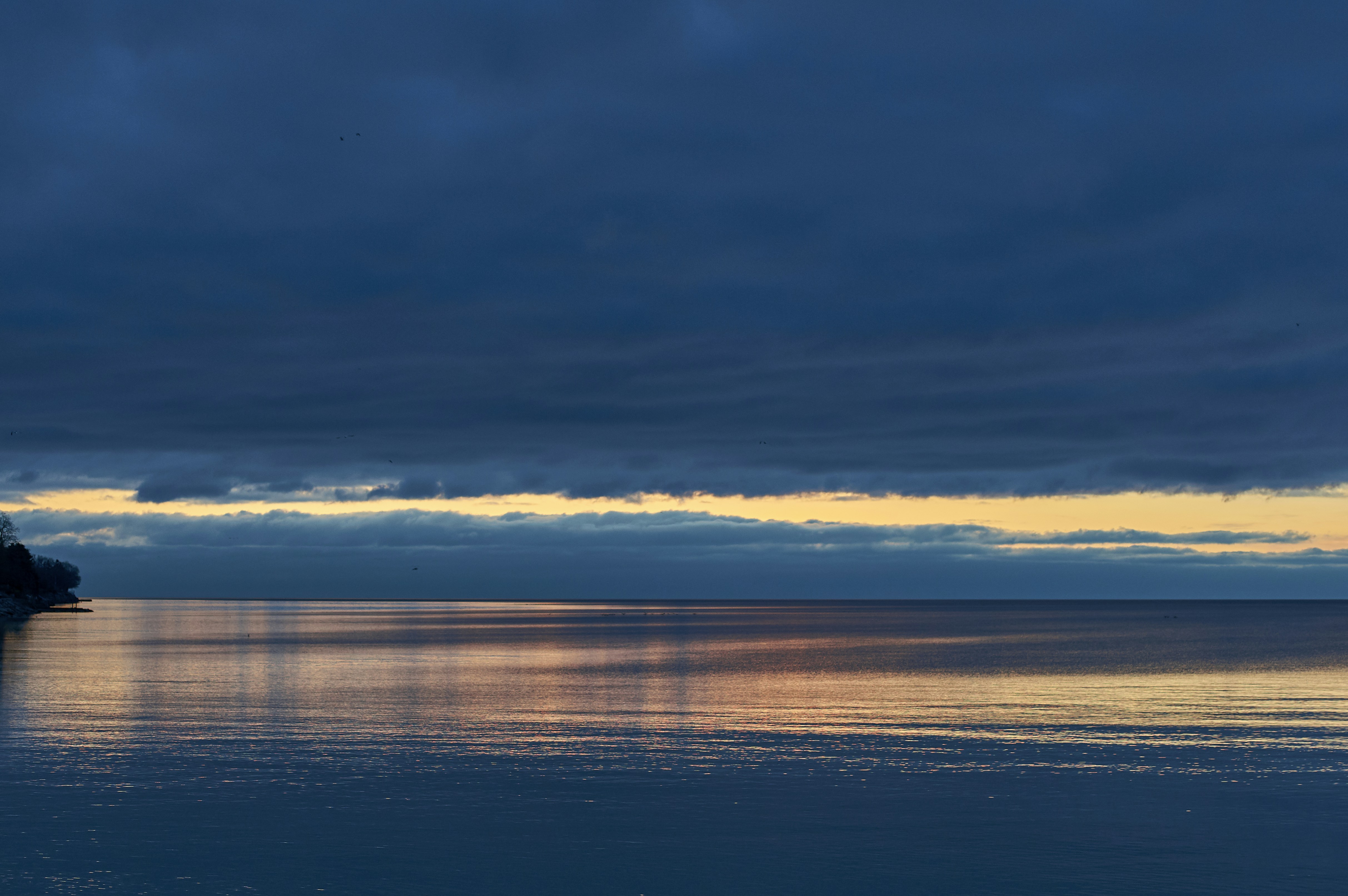 Photo by wolfgang_hasselmann