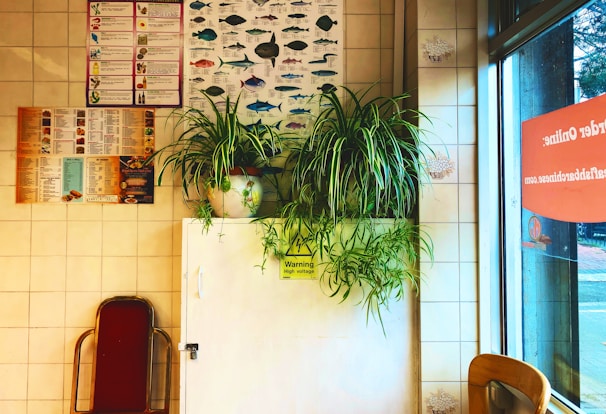 A vibrant display of nutrition charts and guides pinned on a bright blue wall in the clinic.