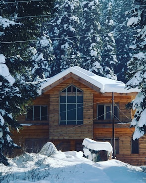 brown wooden house covered with snow near trees during daytime