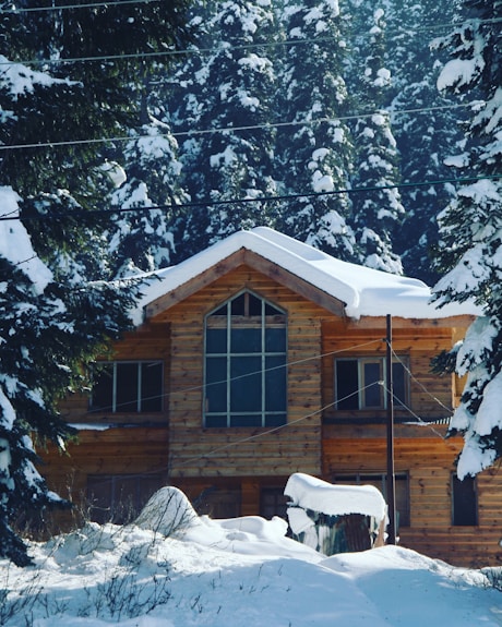 brown wooden house covered with snow near trees during daytime