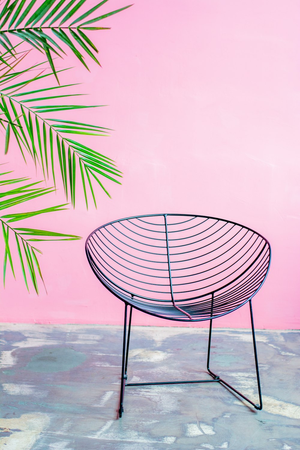 black metal round chair near green palm tree