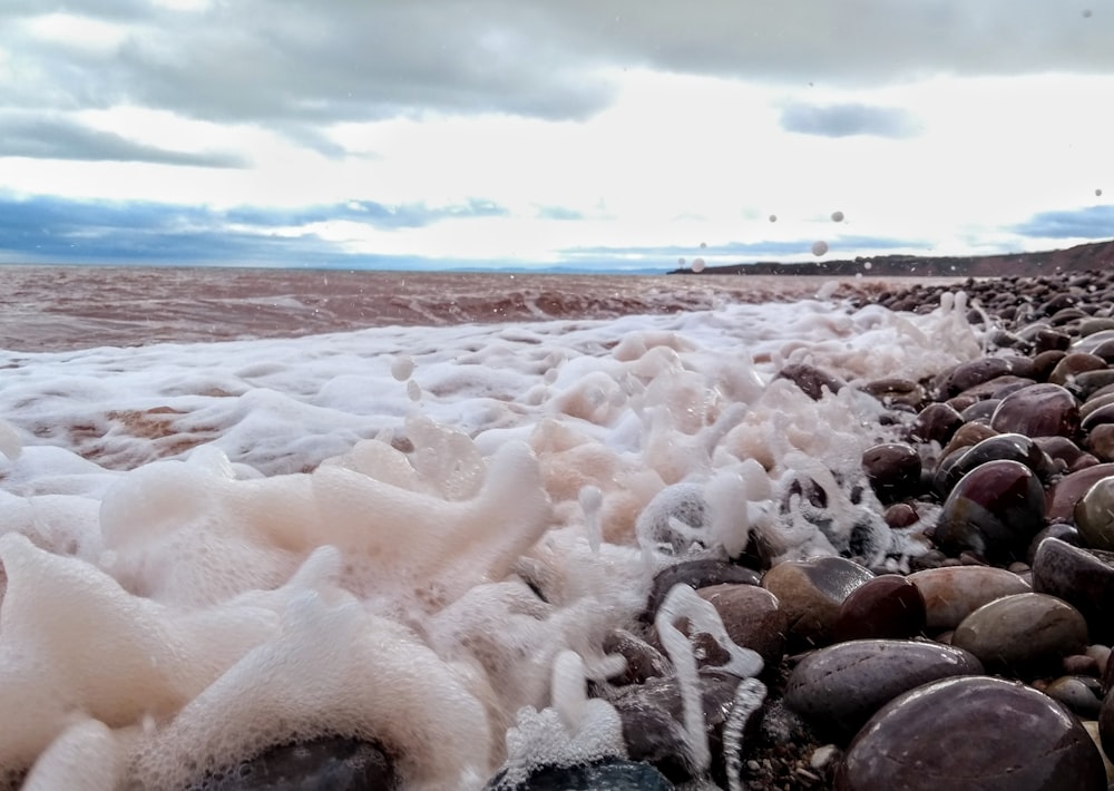 white and black stones on seashore during daytime