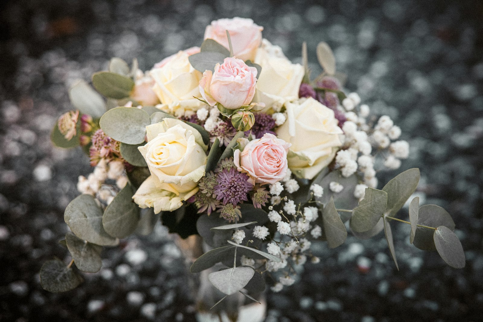 Canon RF 28-70mm F2L USM sample photo. Pink and yellow roses photography