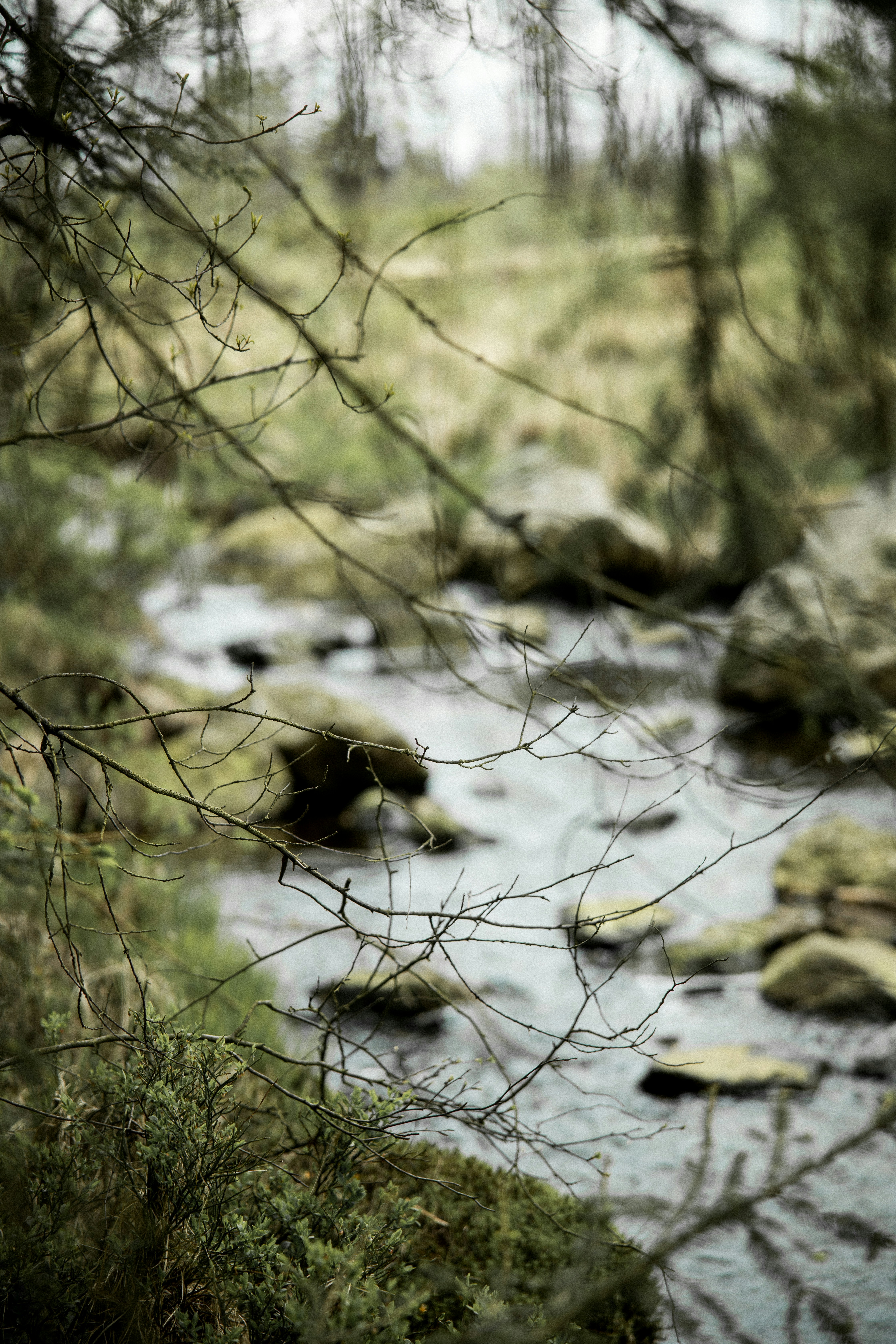 Photo by corina_rainer_