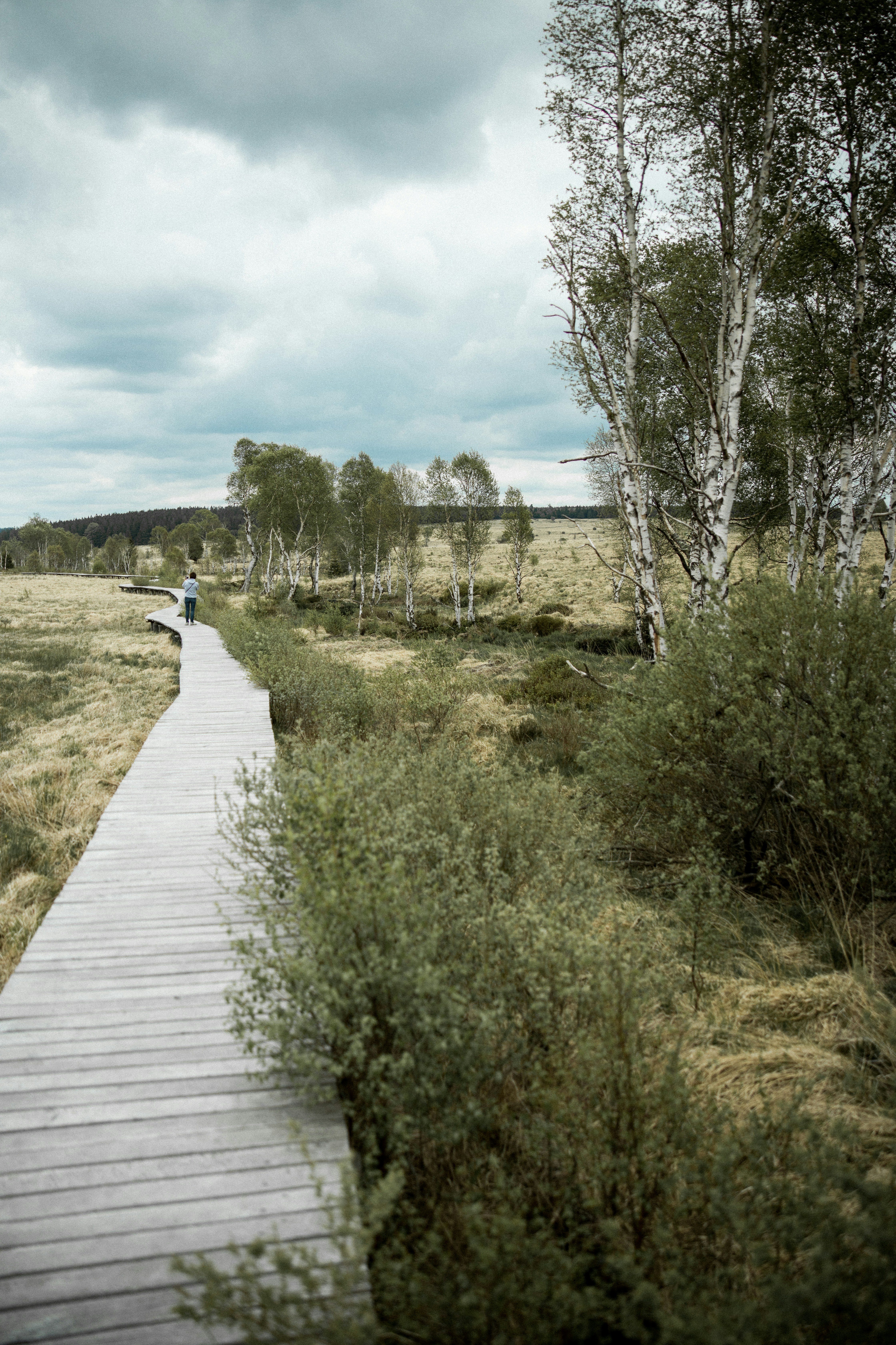 Photo by corina_rainer_