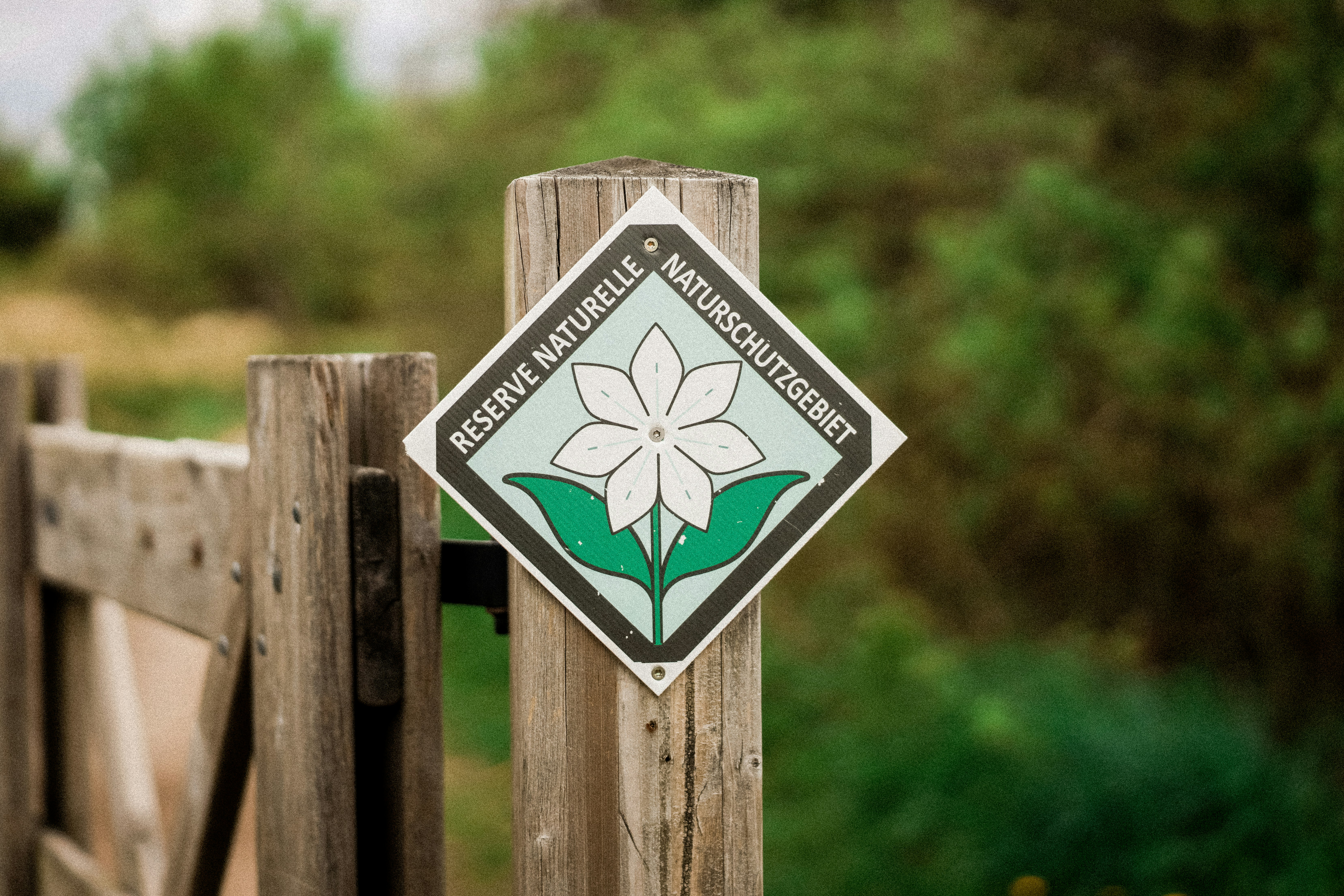 Biodiversity Conservation Planning