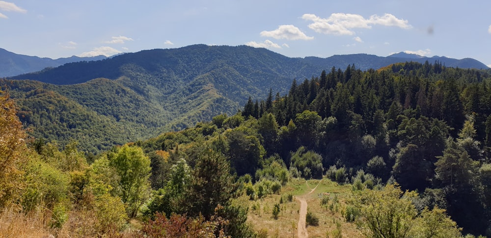 green trees on mountain under blue sky during daytime