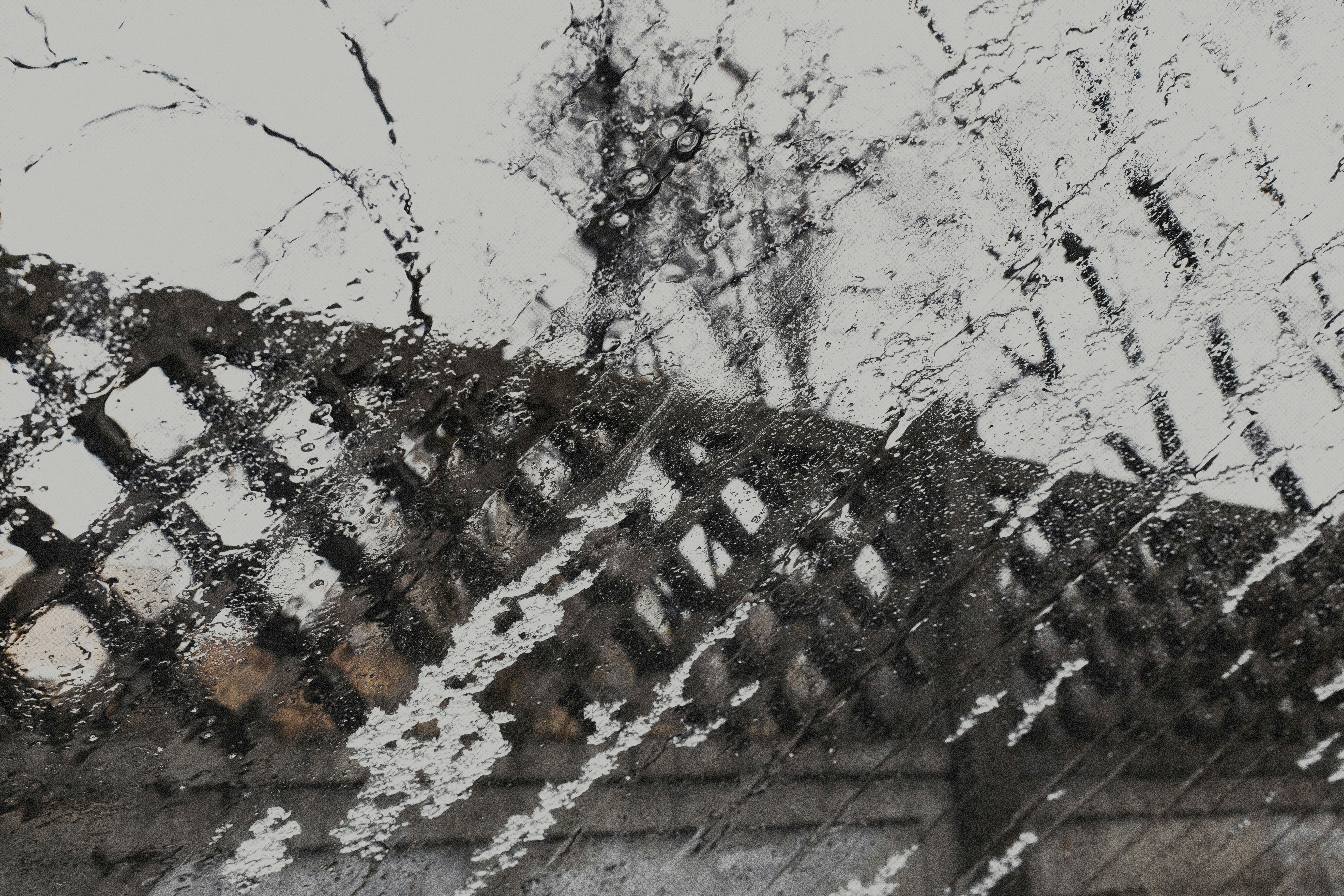 Photo by marjan_blan