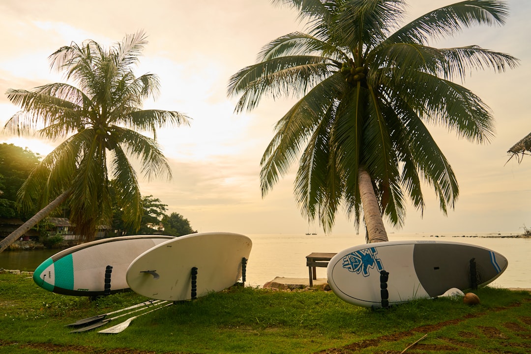 white and black surfboard on green grass near body of water during daytime