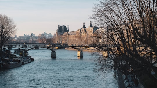 brown concrete building near body of water during daytime in Île de la Cité France