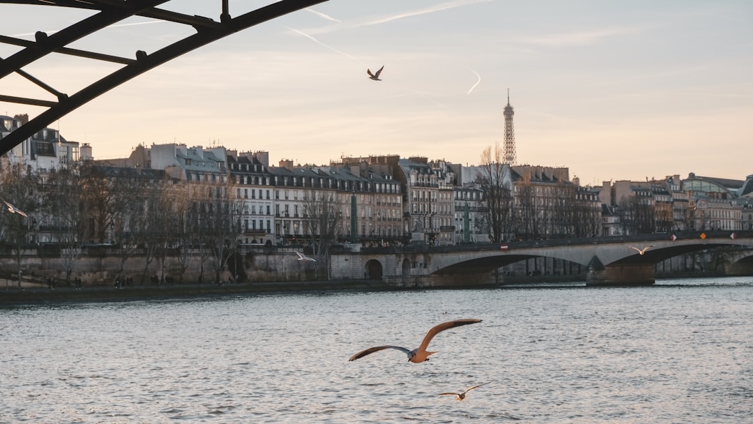 Bridge photo spot Paris Musée d'Orsay