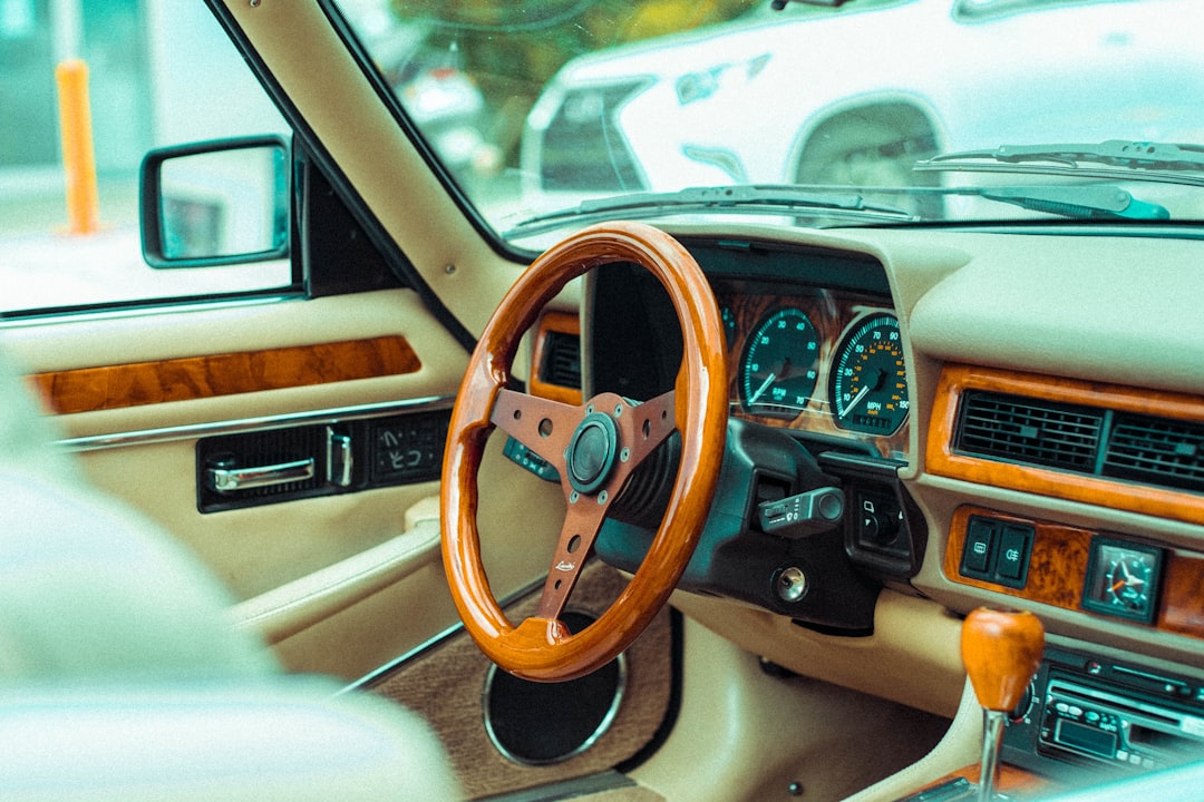 brown and black steering wheel