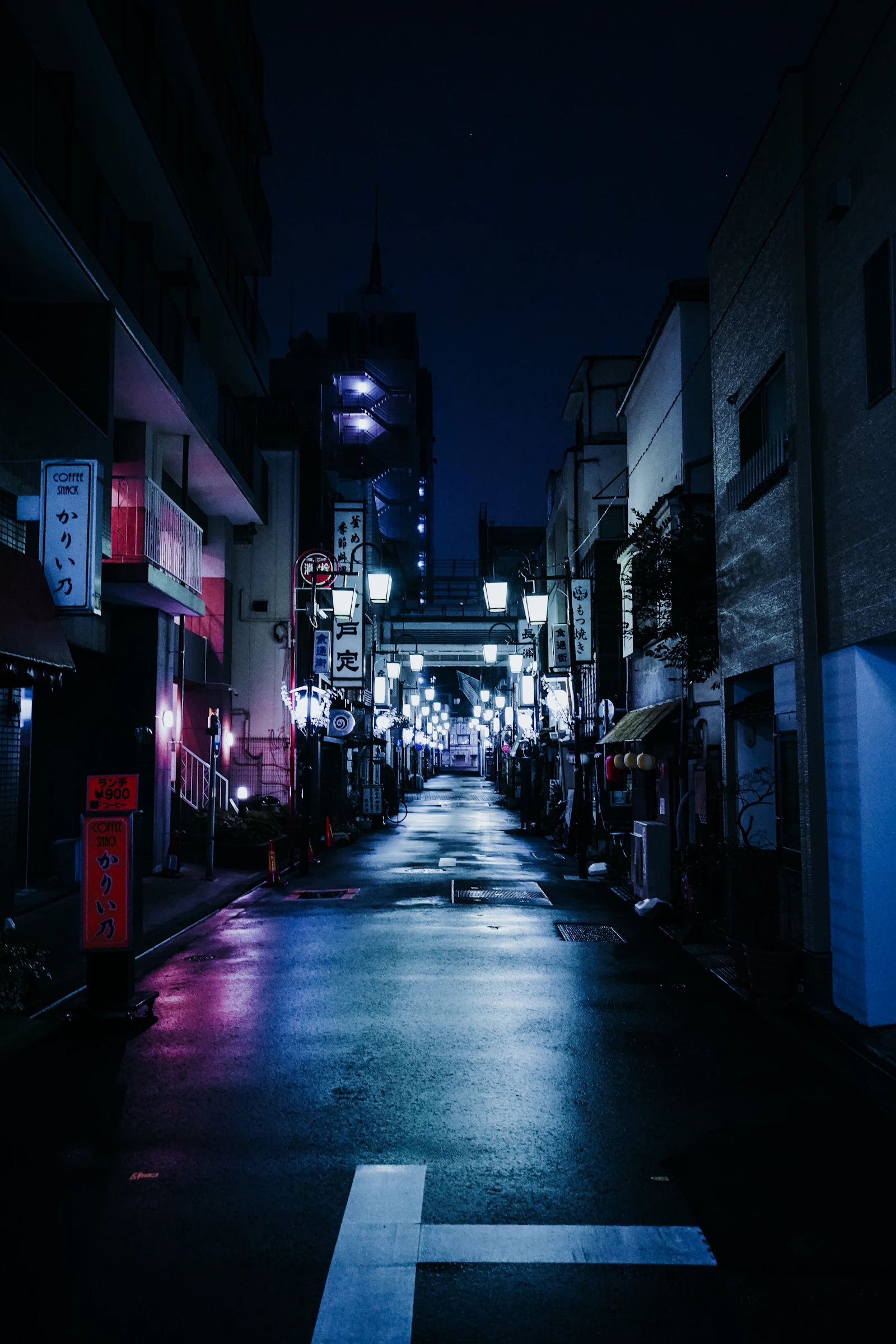 An empty street kept awake by its own lamps