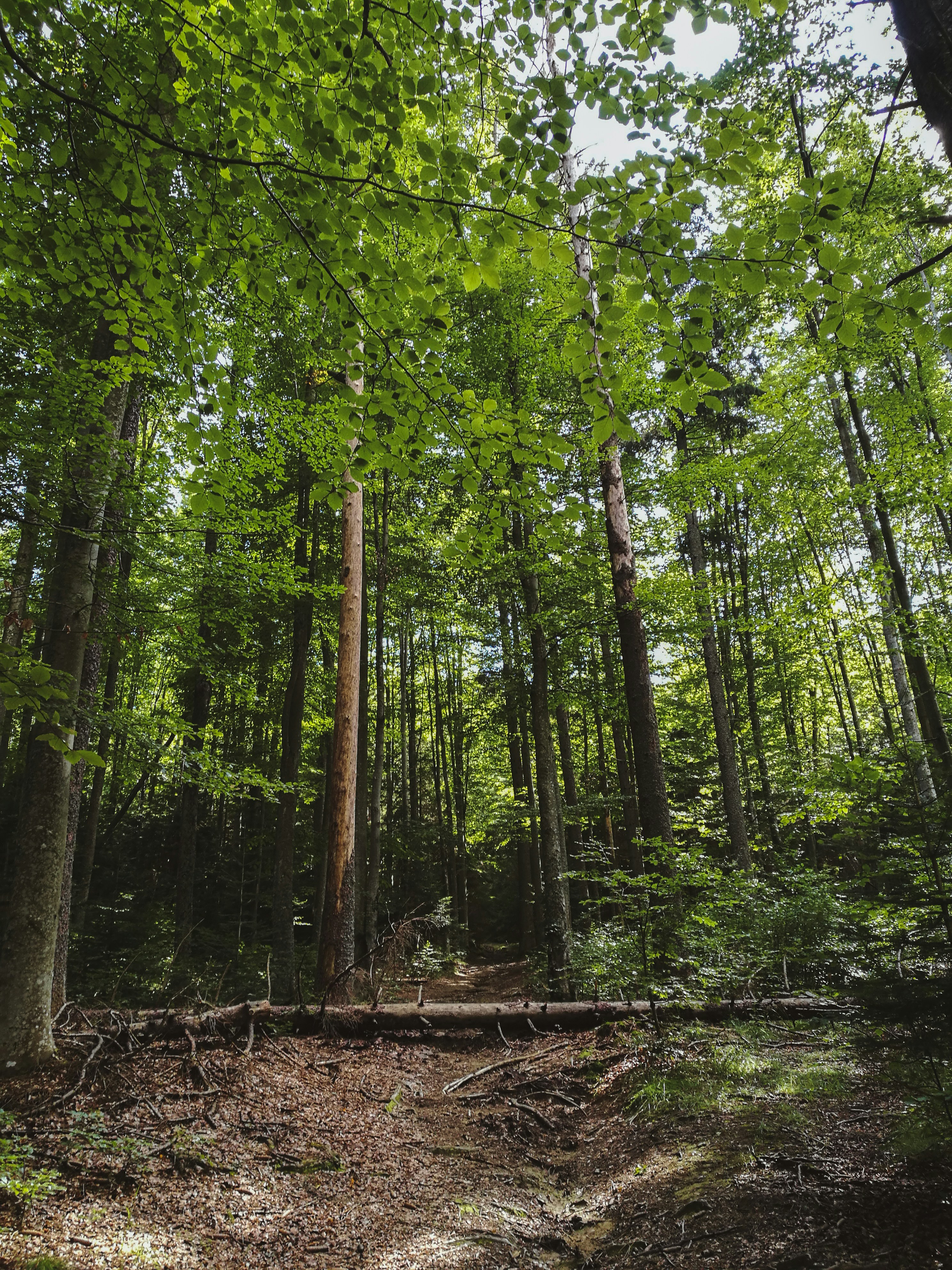 Photo by dianadimart