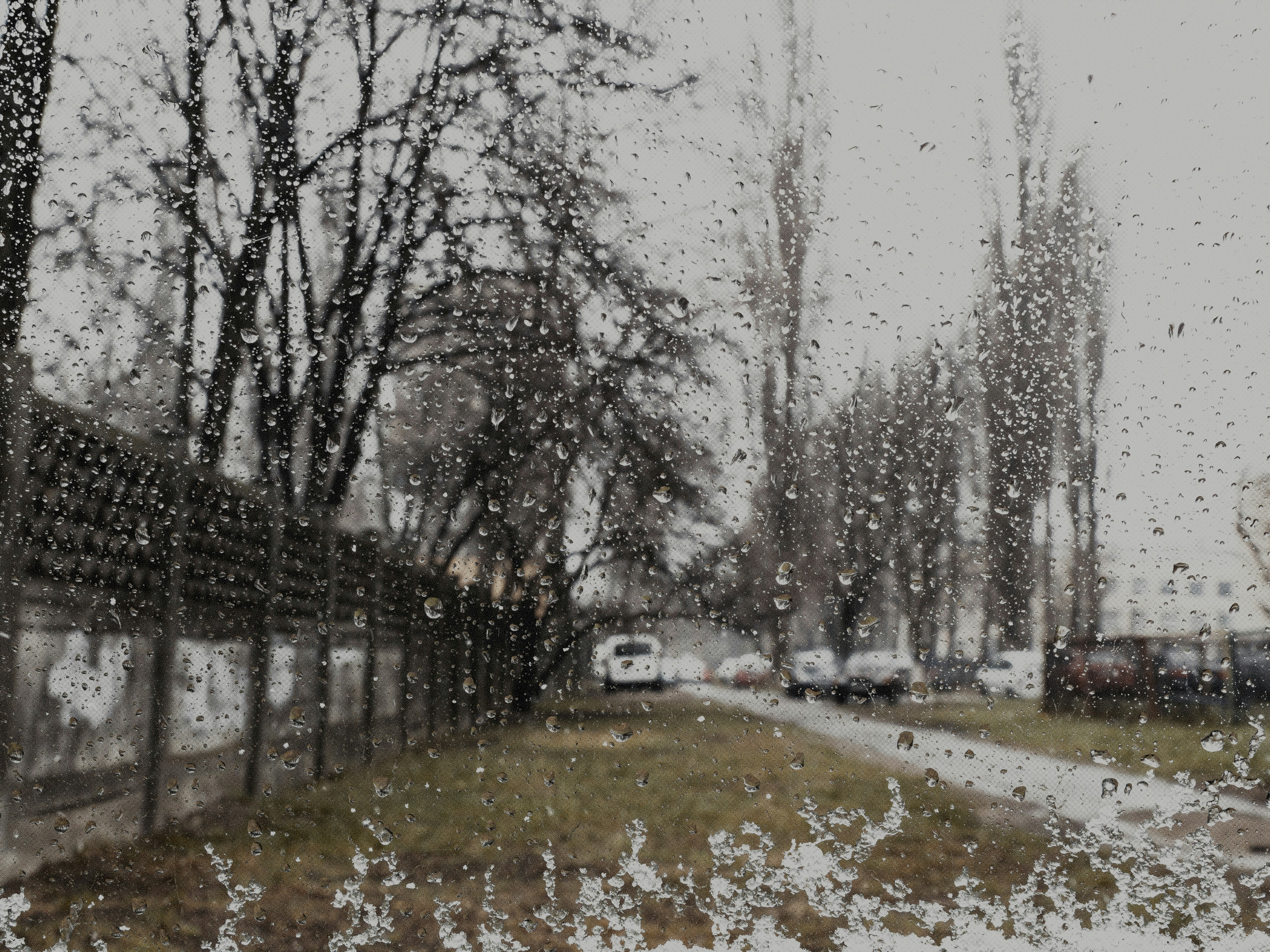 Photo by marjan_blan