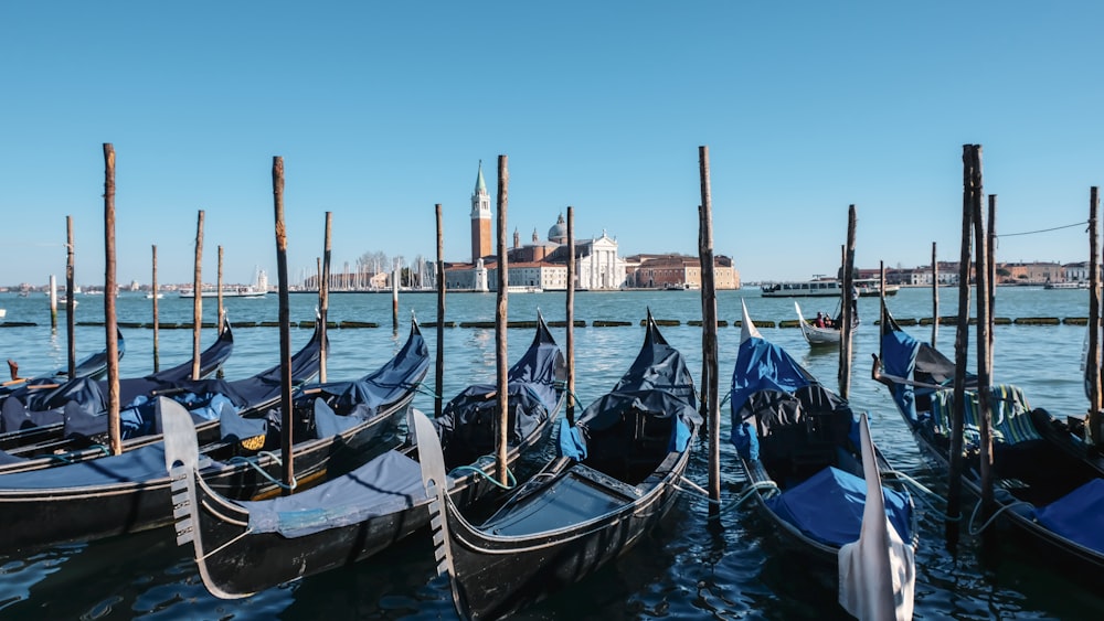 blue and black boat on water during daytime