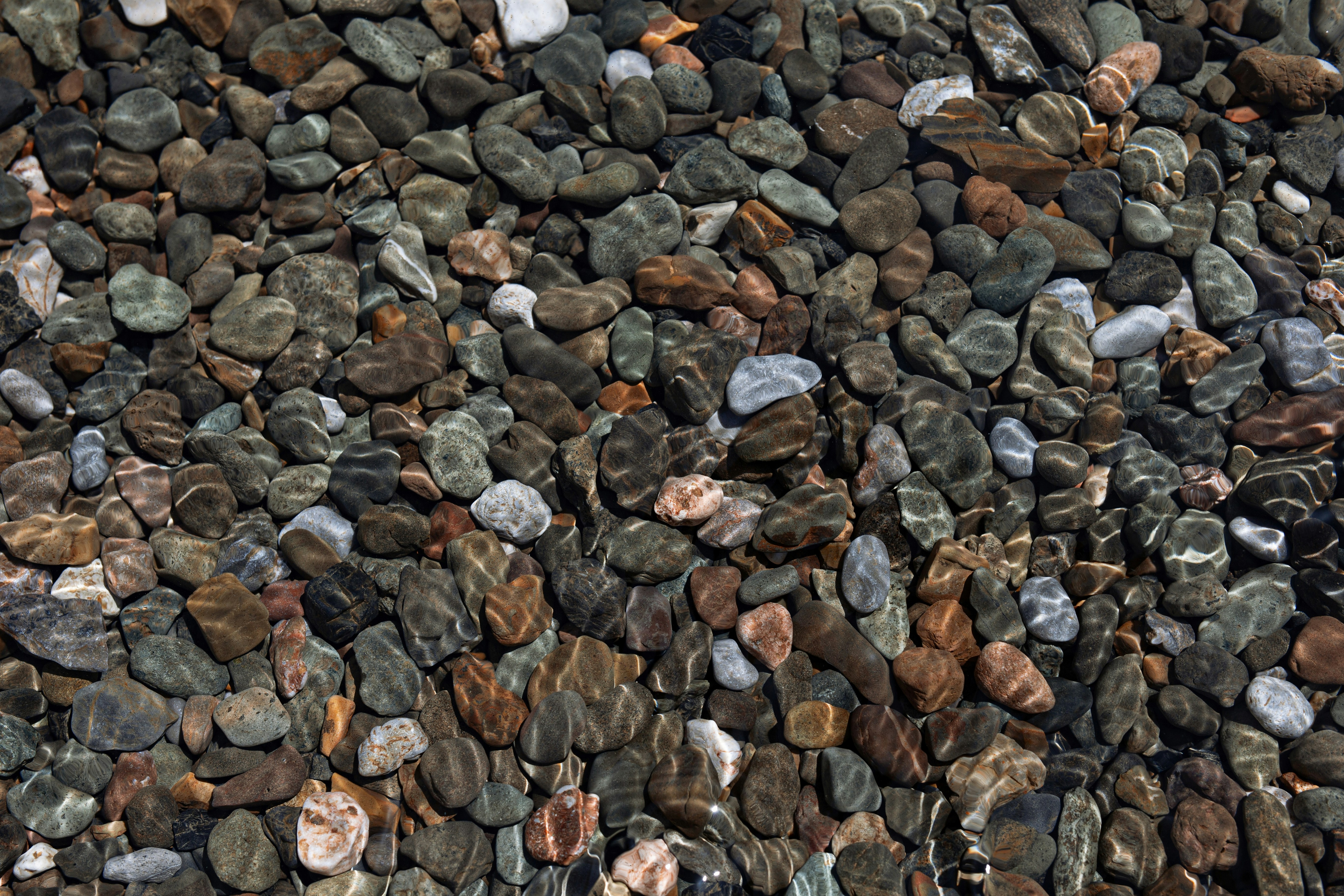 Photo by vinomamba24