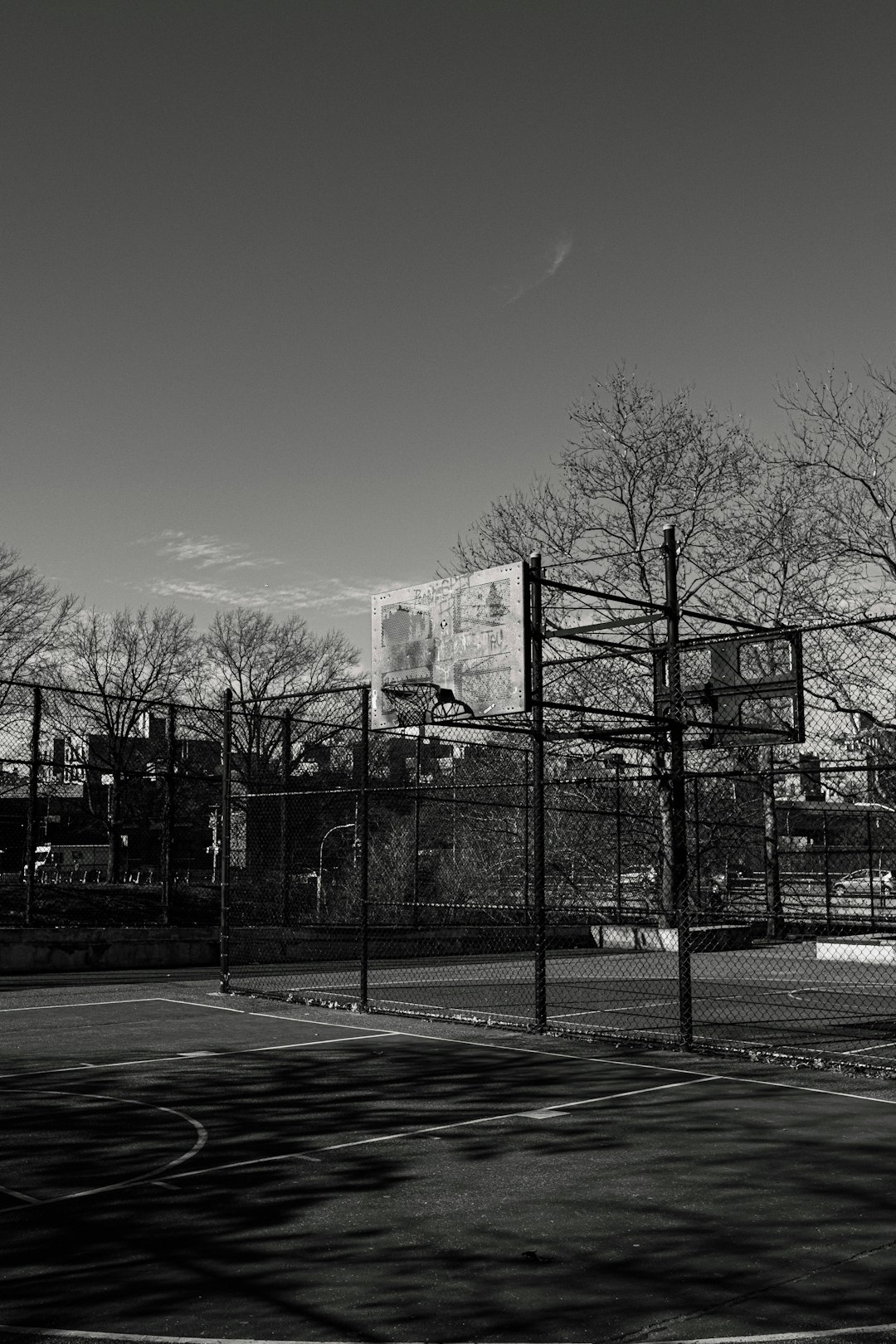 grayscale photo of bare trees near building