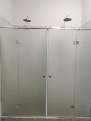 Elegant frosted glass shower enclosure with brushed metal frame in a cozy bathroom.