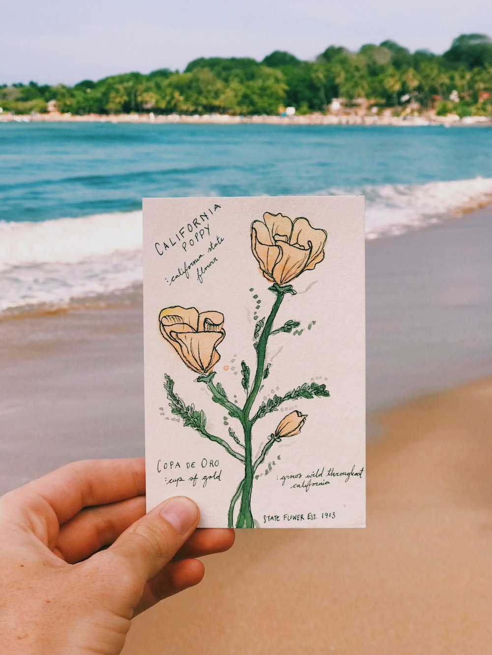 person holding white and green greeting card