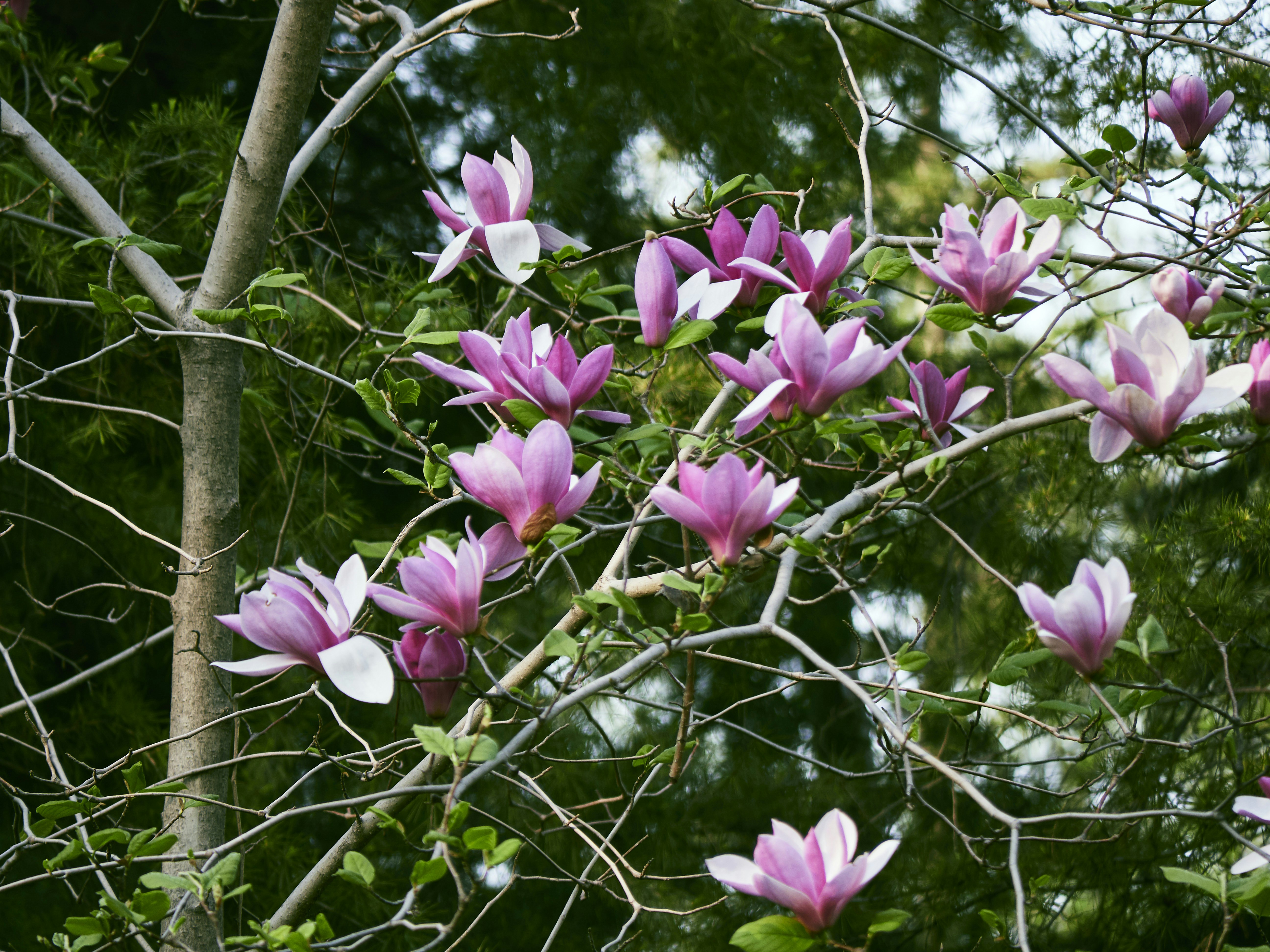 Southeast: Heat and Humidity Champions (image credits: unsplash)