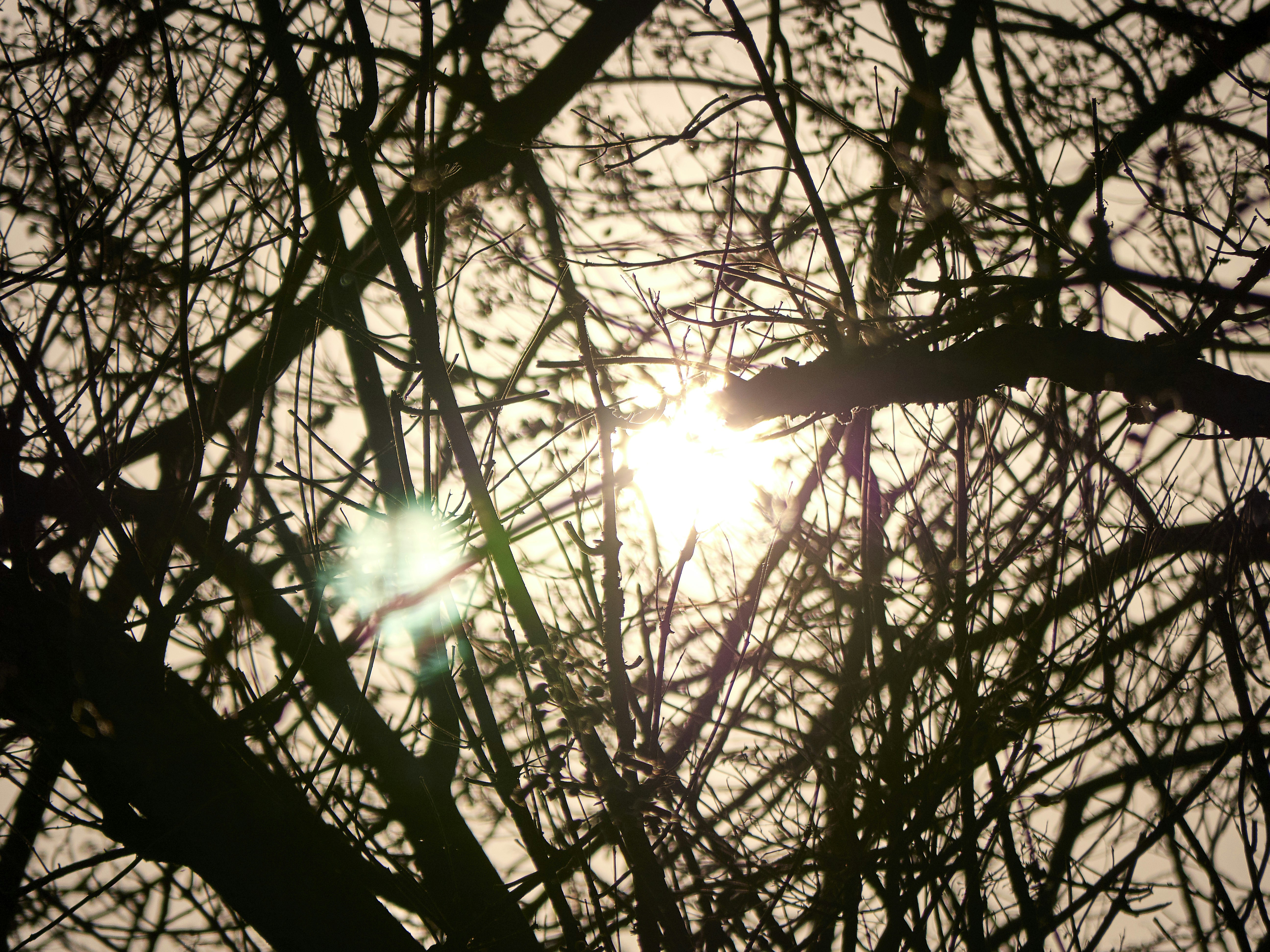 Photo by xiazheng1995