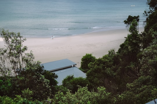 green trees near body of water during daytime in Byron Bay Australia