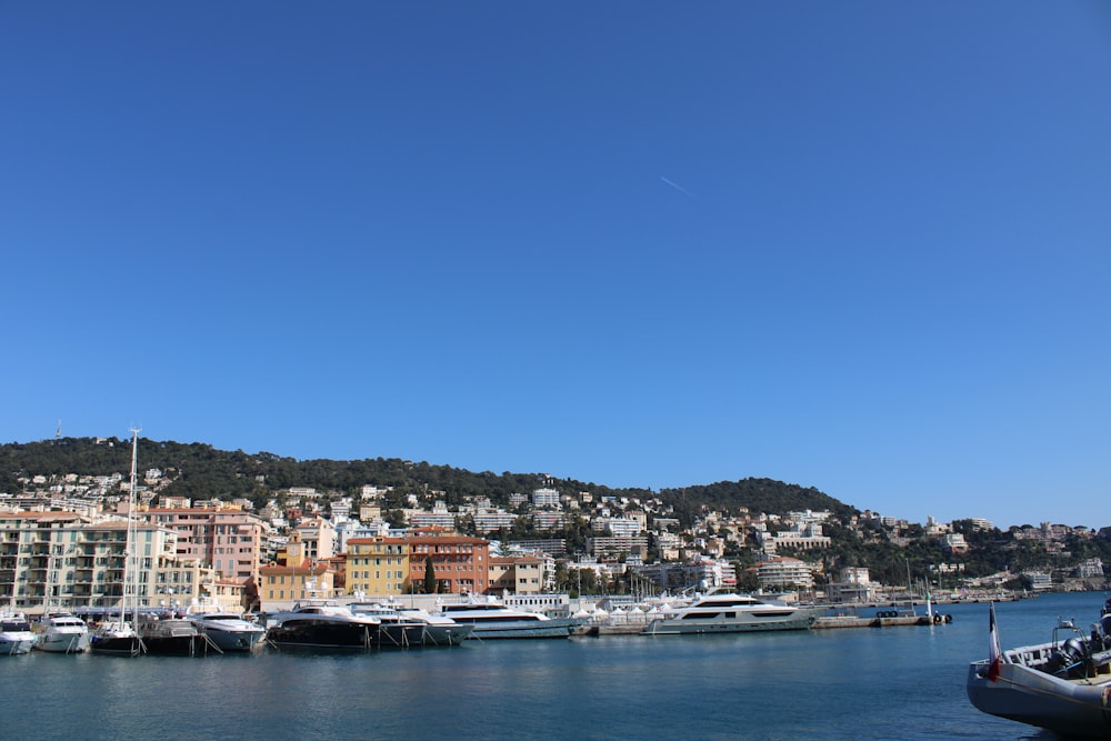 city buildings near body of water during daytime