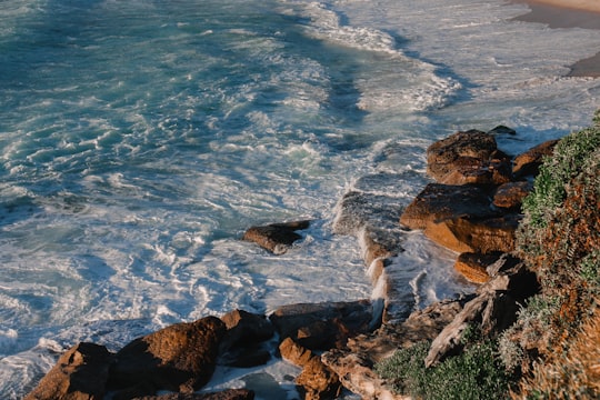 brown rocky mountain beside blue sea during daytime in Bronte Beach Australia