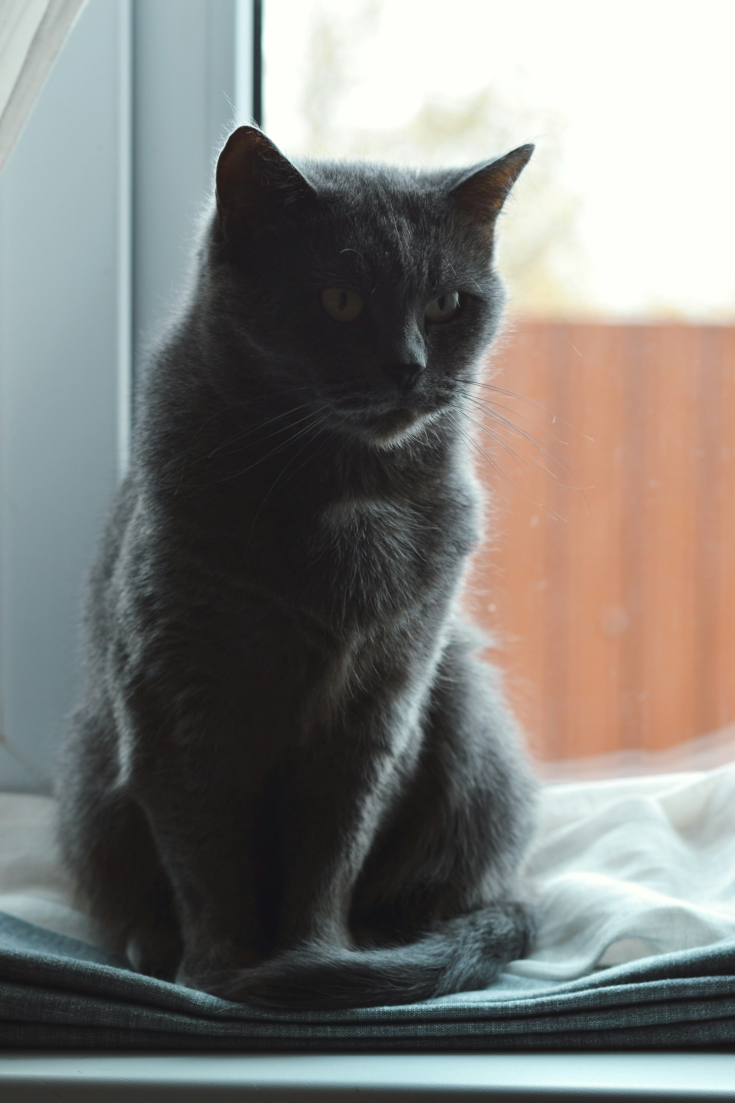 Photo by dudukalov_vl