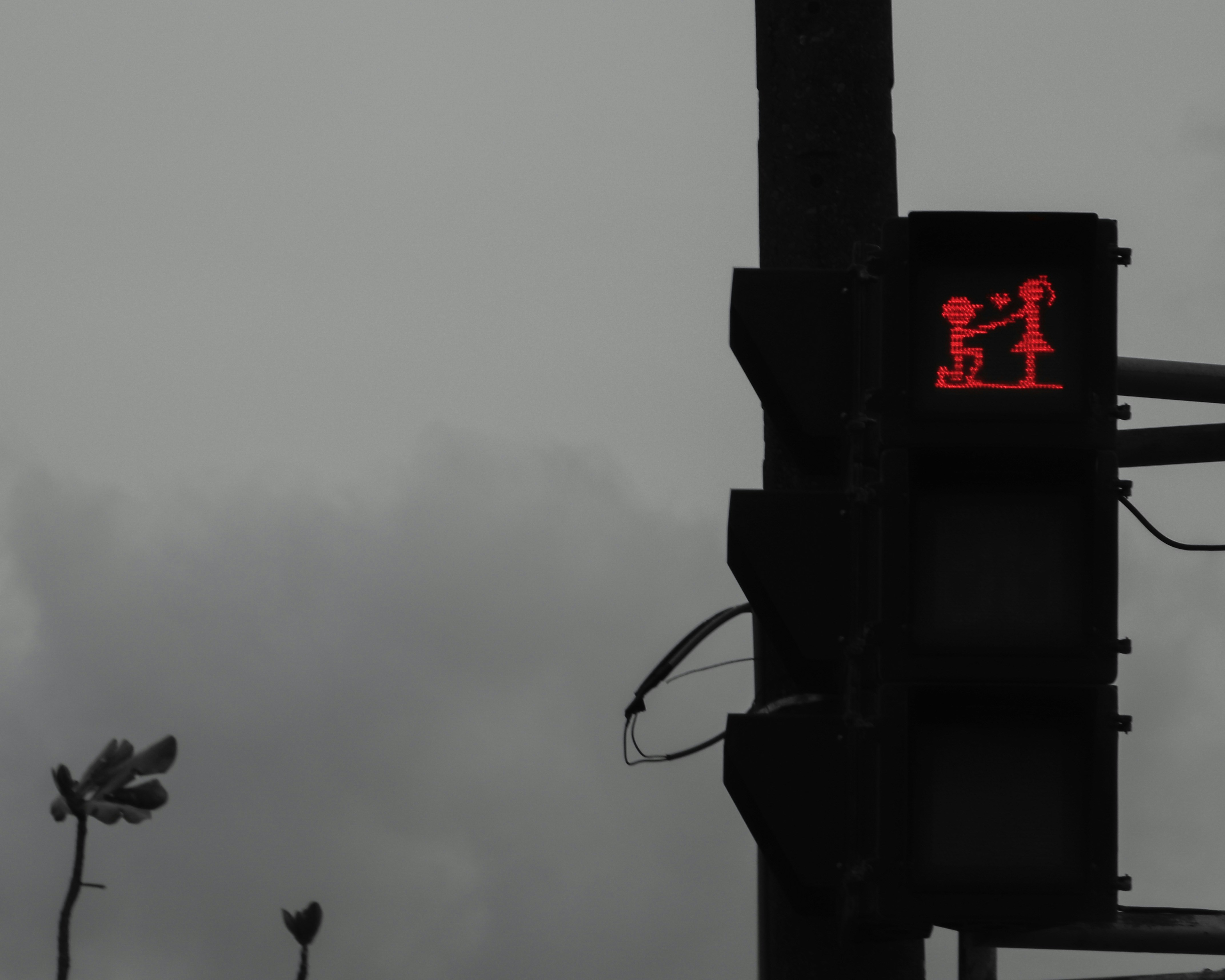 Black traffic light under gray sky photo – Free Kenting baishawan Image
