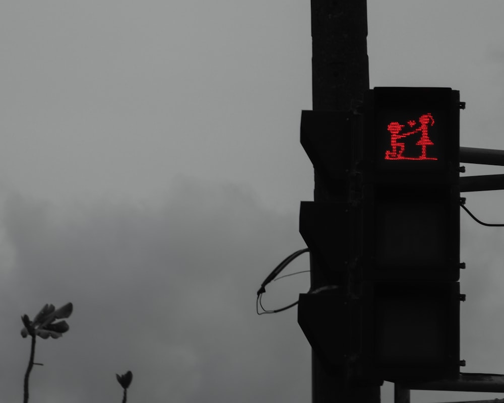 black traffic light under gray sky