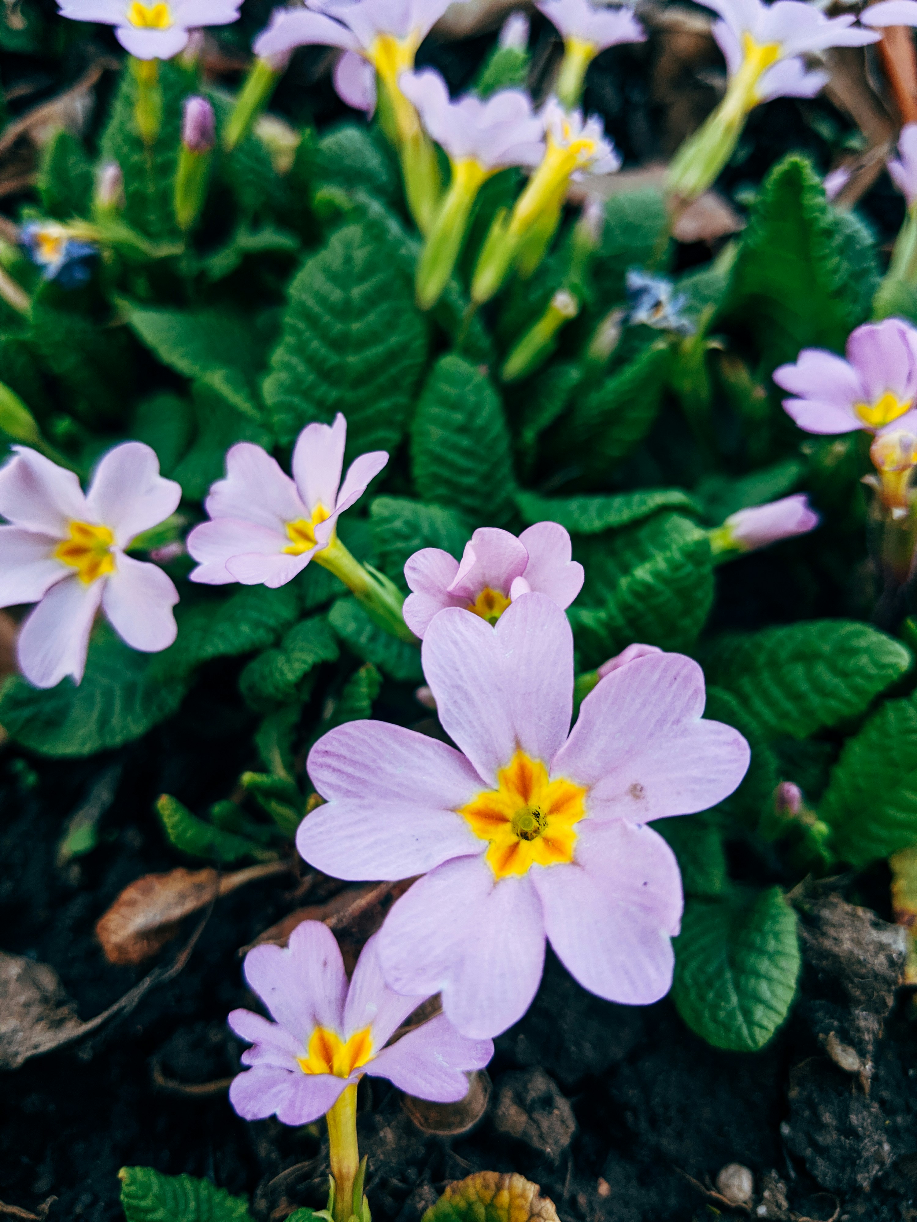 Photo by markuswinkler