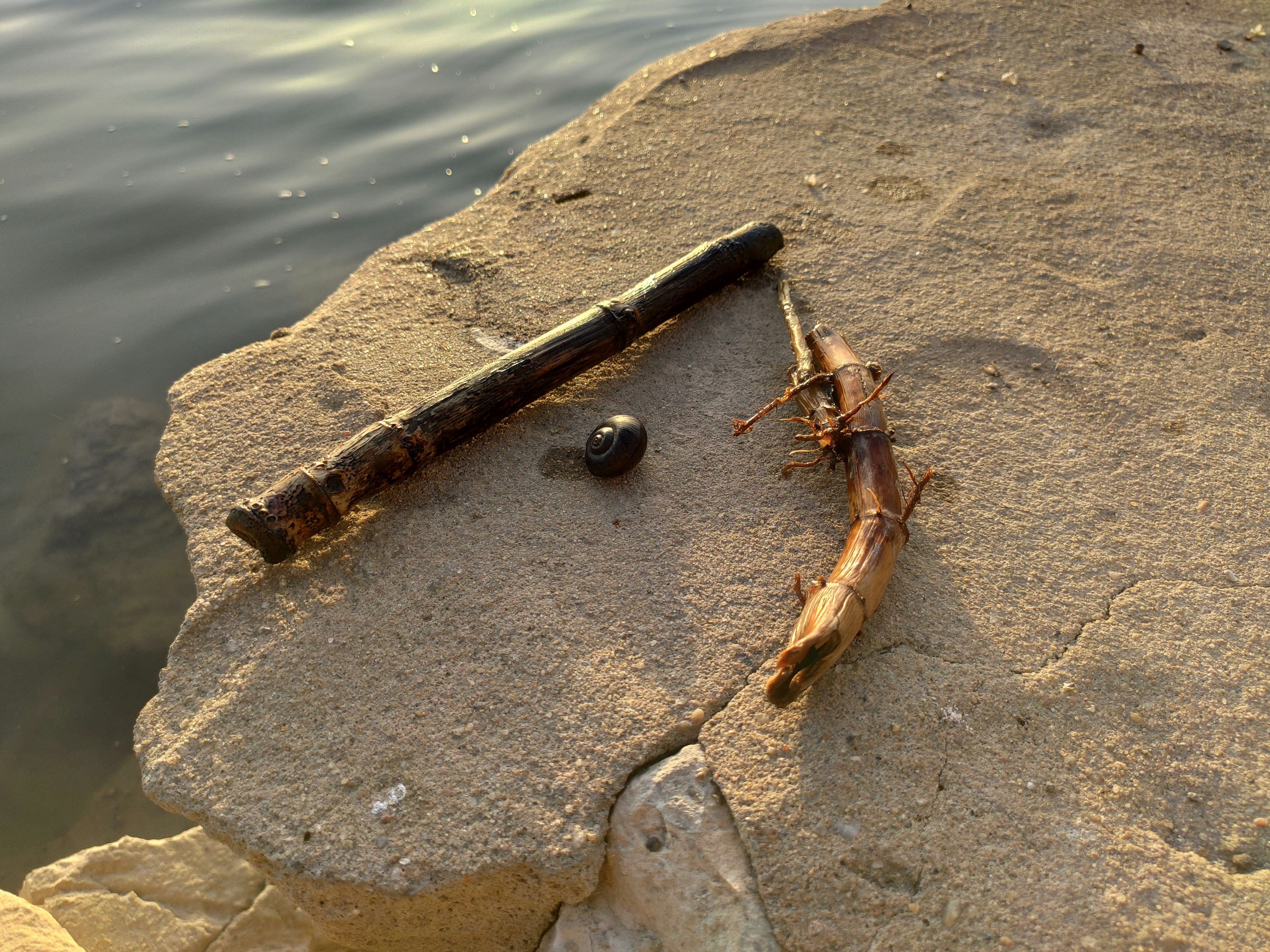 photo 1586171662802 646ce06bb6b6?ixlib=rb 4.0