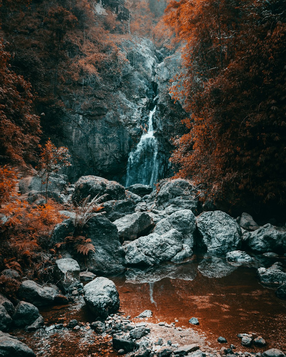 water falls in the middle of forest
