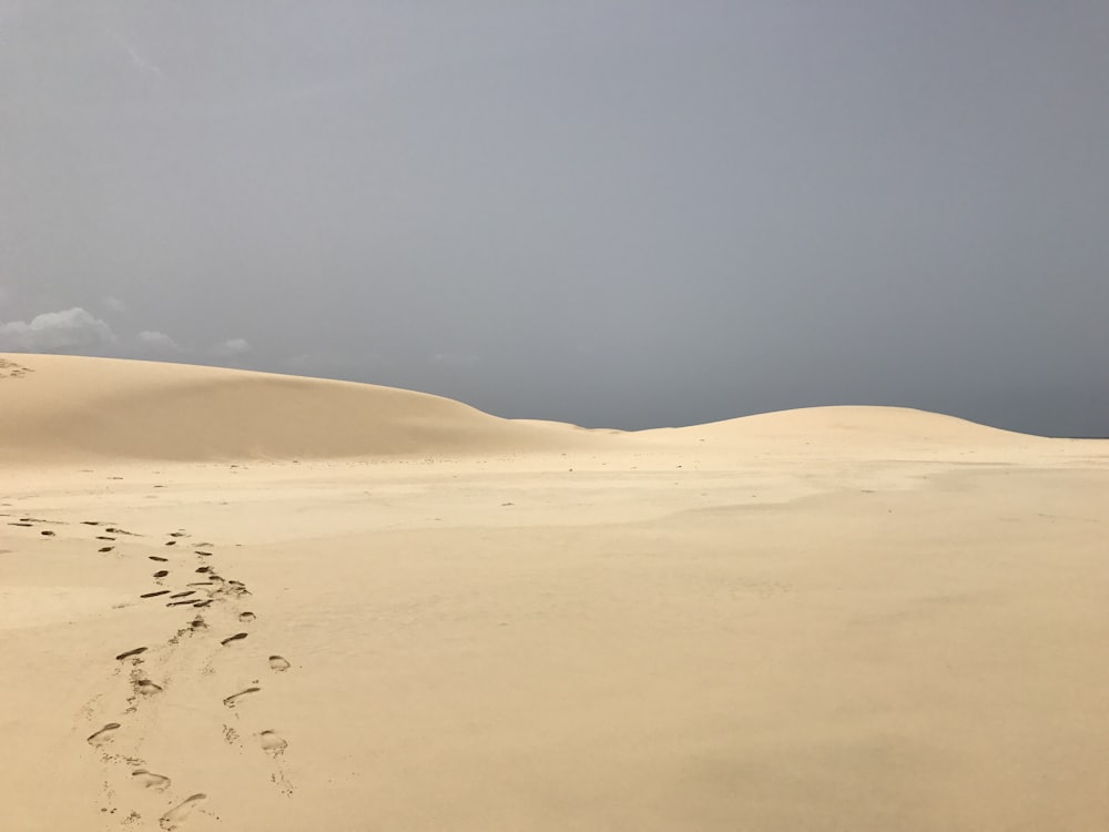 brown sand with green plants during daytime