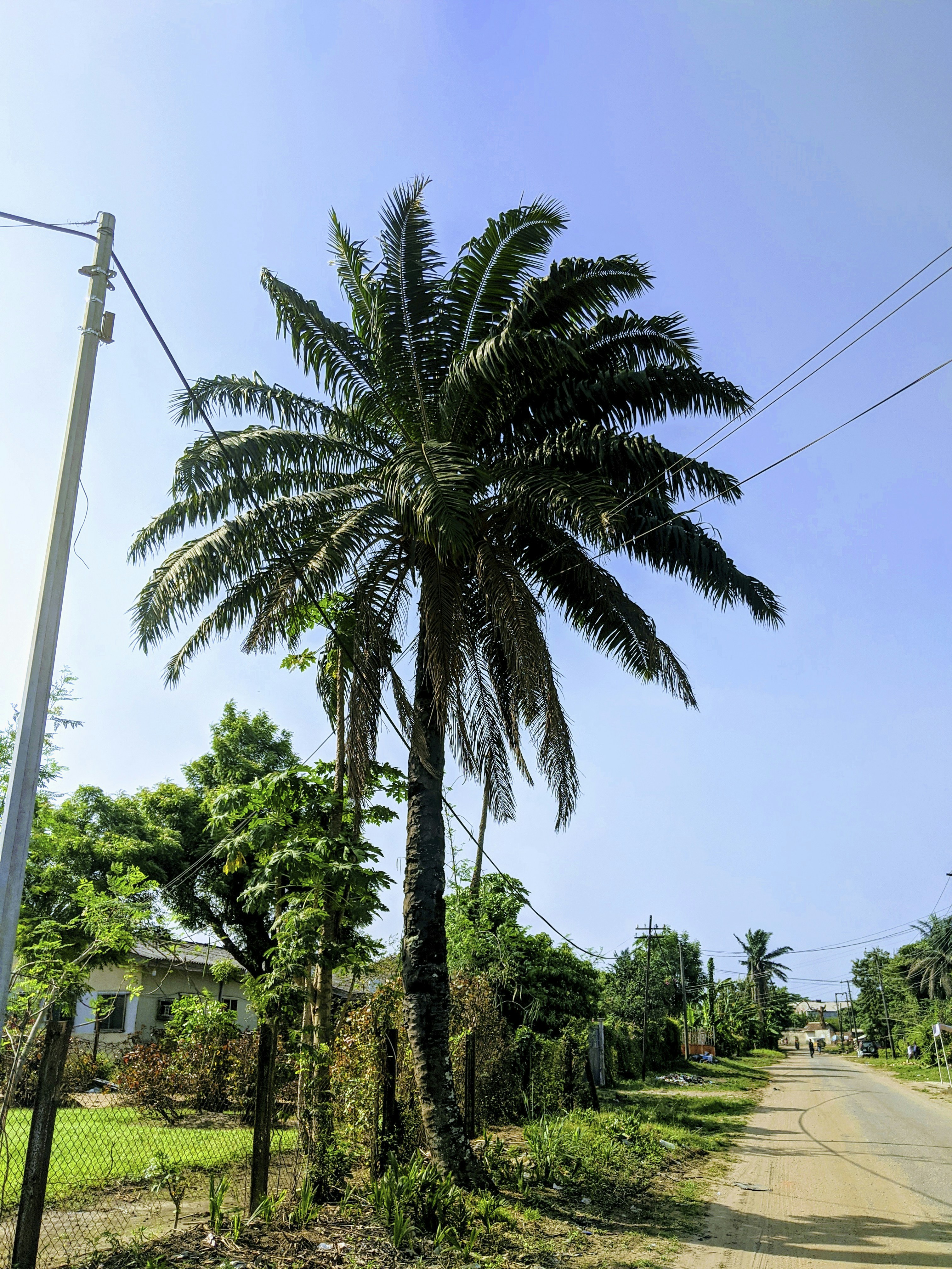 Solar engineer examining a rooftop photovoltaic array under clear skies