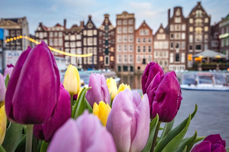 Ámsterdam - Flores y arquitectura en Bélgica
