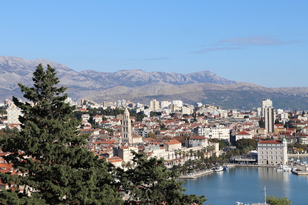 aerial view of city near body of water during daytime