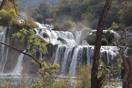 waterfalls in forest during daytime in Parc national de Krka Croatia