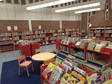 Young learners reading books in the cozy, well-stocked school library.