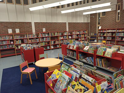 Young learners reading books in the cozy, well-stocked school library.