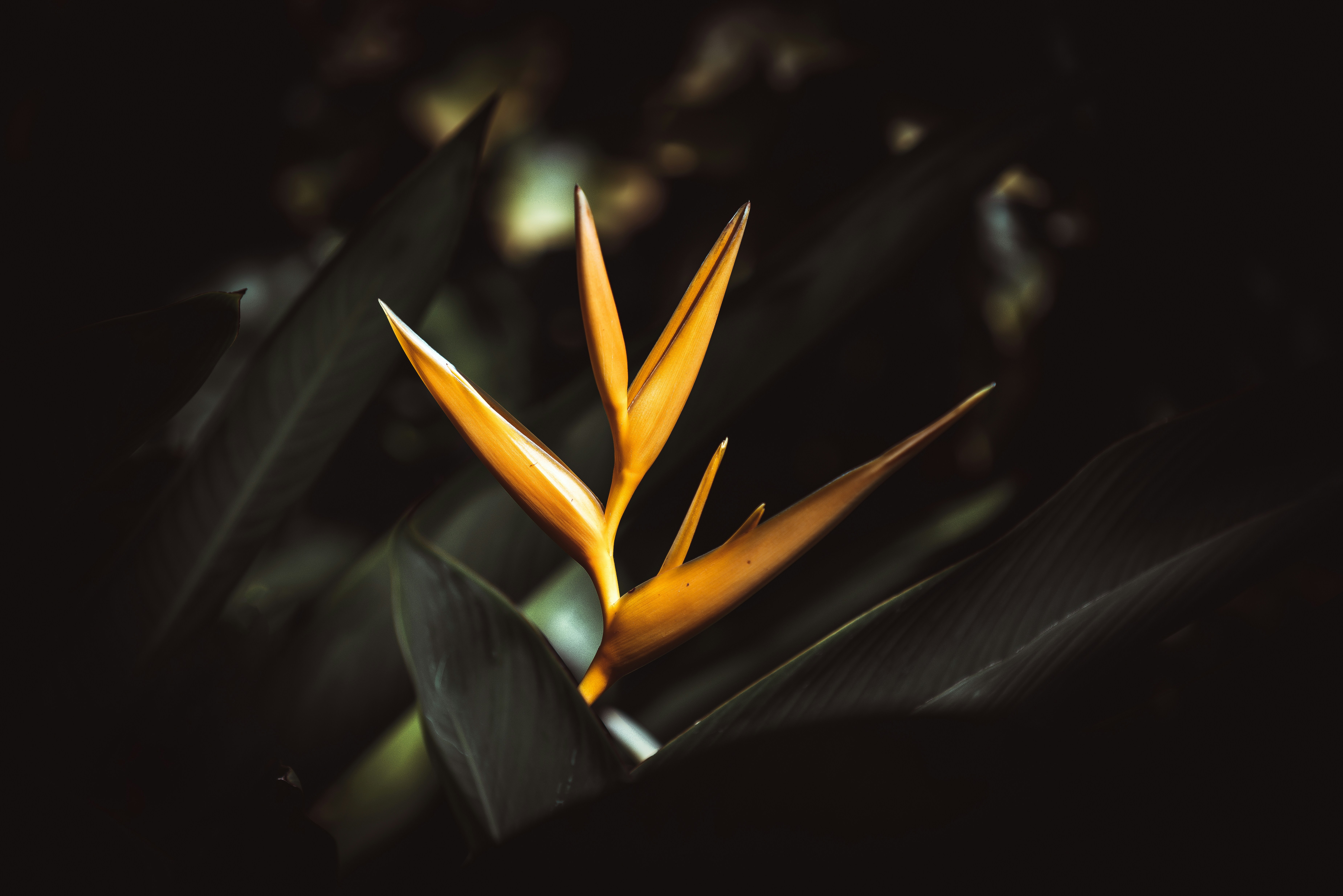 Photo by xaviercoiffic