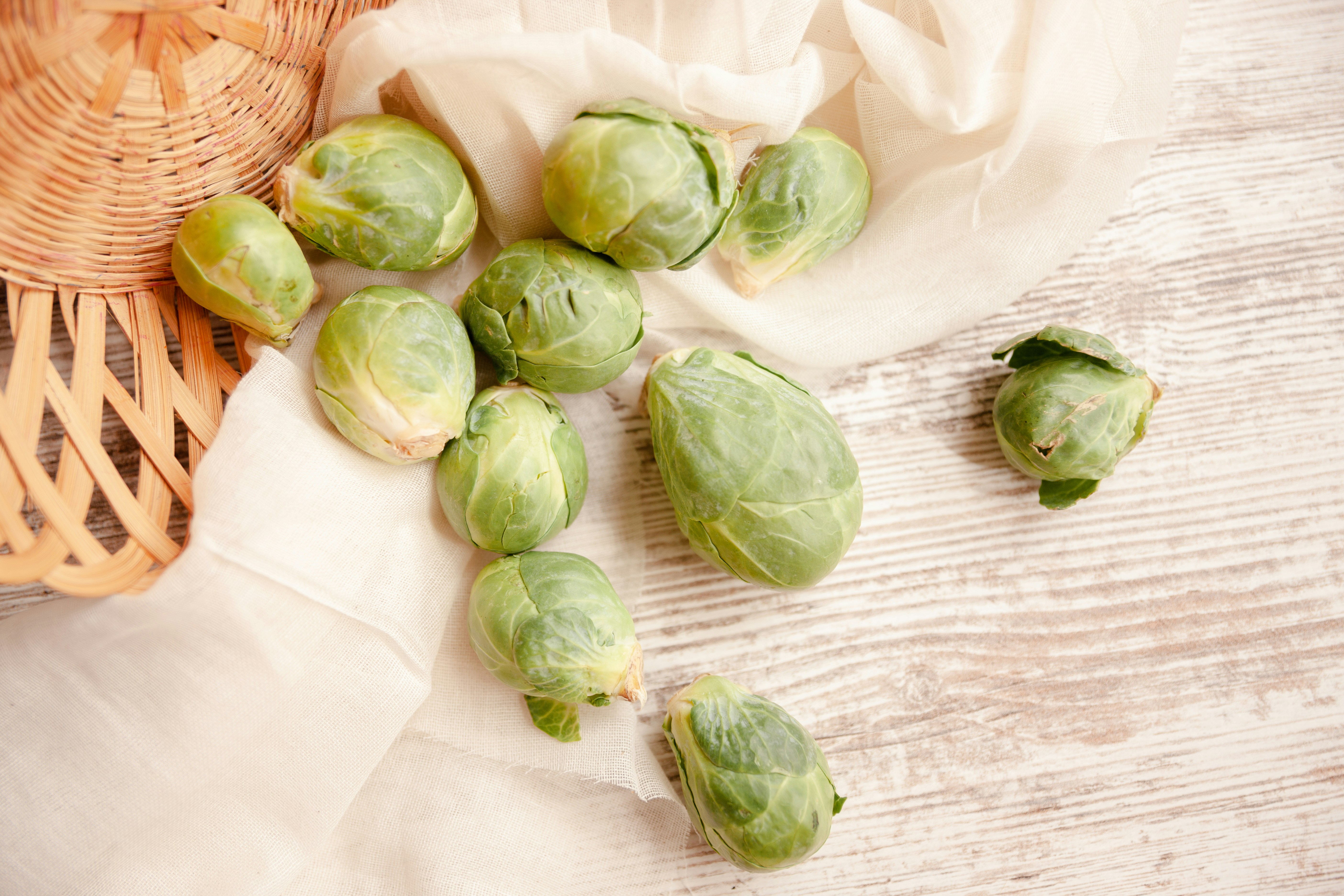 Photo by ohlmanphotography