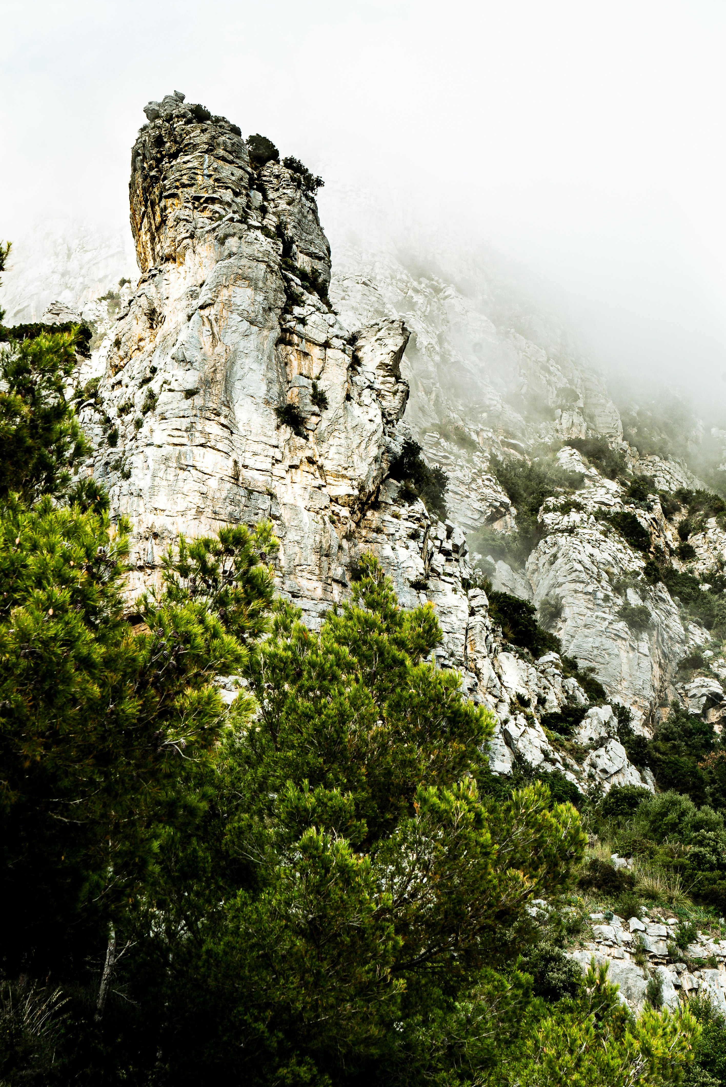 gray rocky mountain with green trees