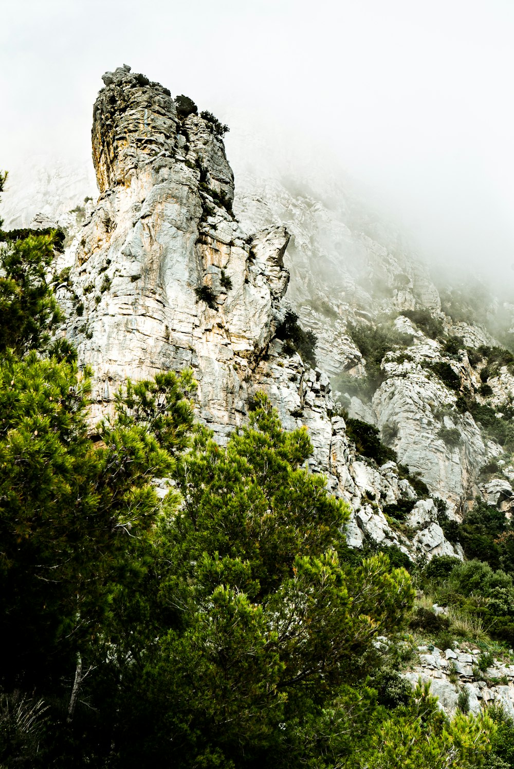 gray rocky mountain with green trees