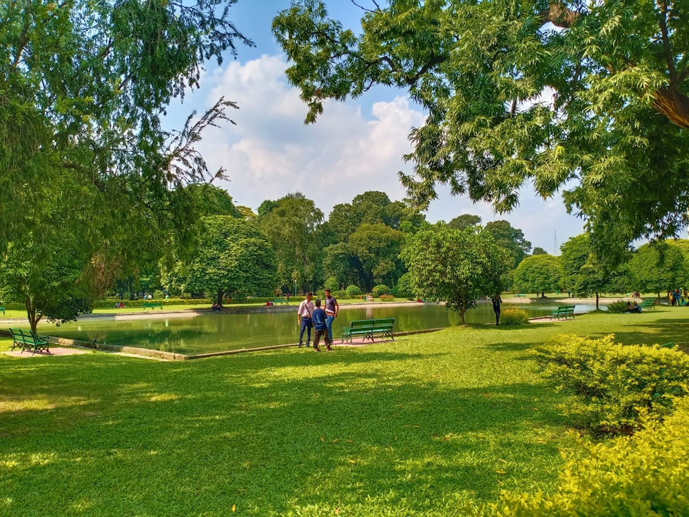 personnes marchant sur un champ d’herbe verte pendant la journée