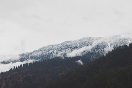 green trees on mountain under white clouds during daytime in Uttarakhand India