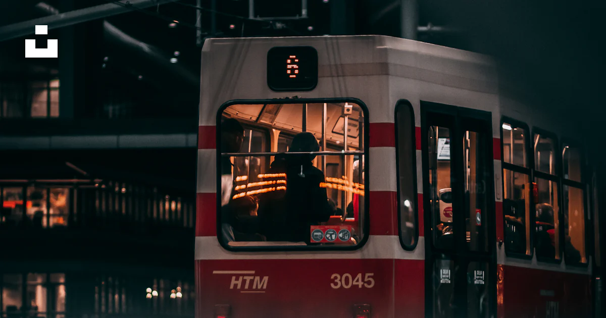 Red and black bus on road during night time photo – Free Human Image on ...
