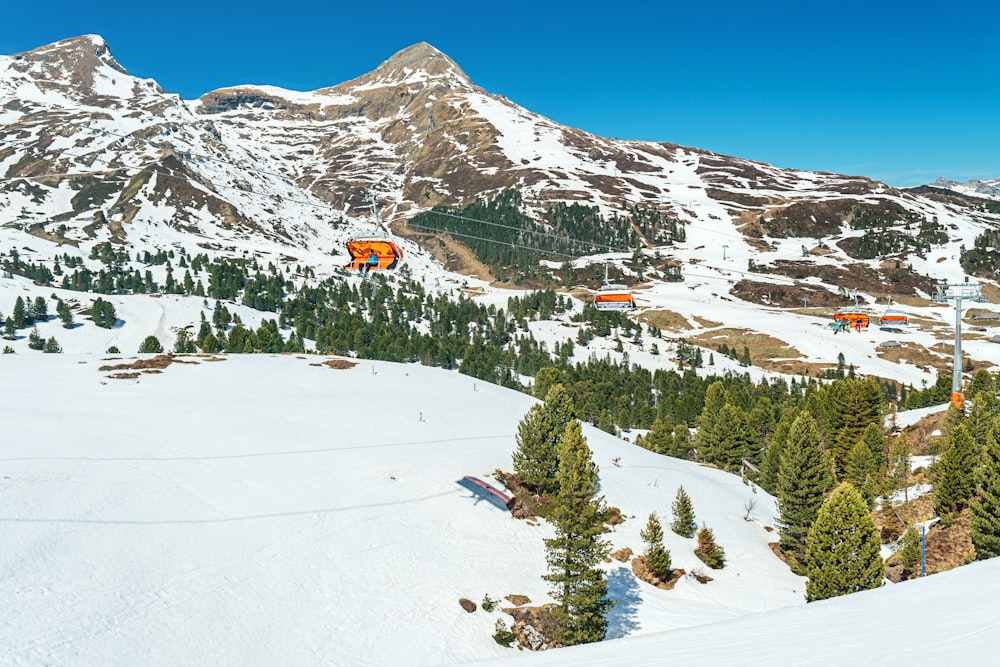 green pine trees on snow covered mountain during daytime